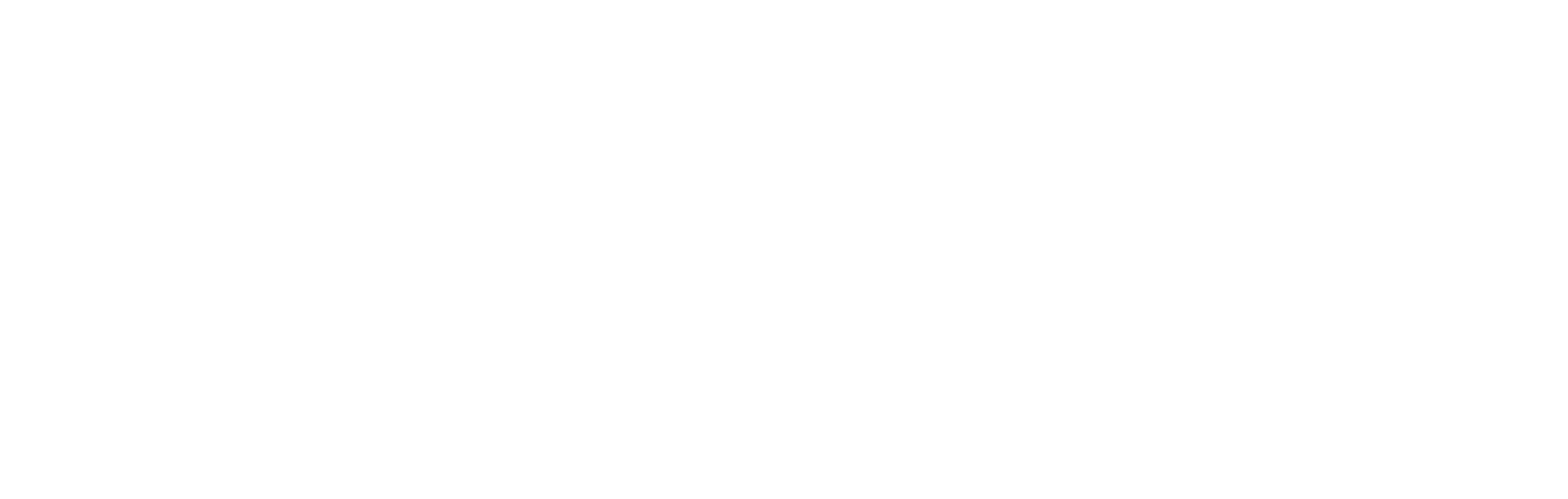 Logo GFDMO białe